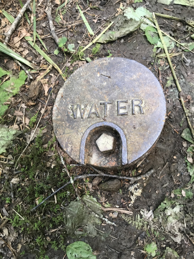 Came across this water source on the trail but couldn't figure out what kind of spring it was.
